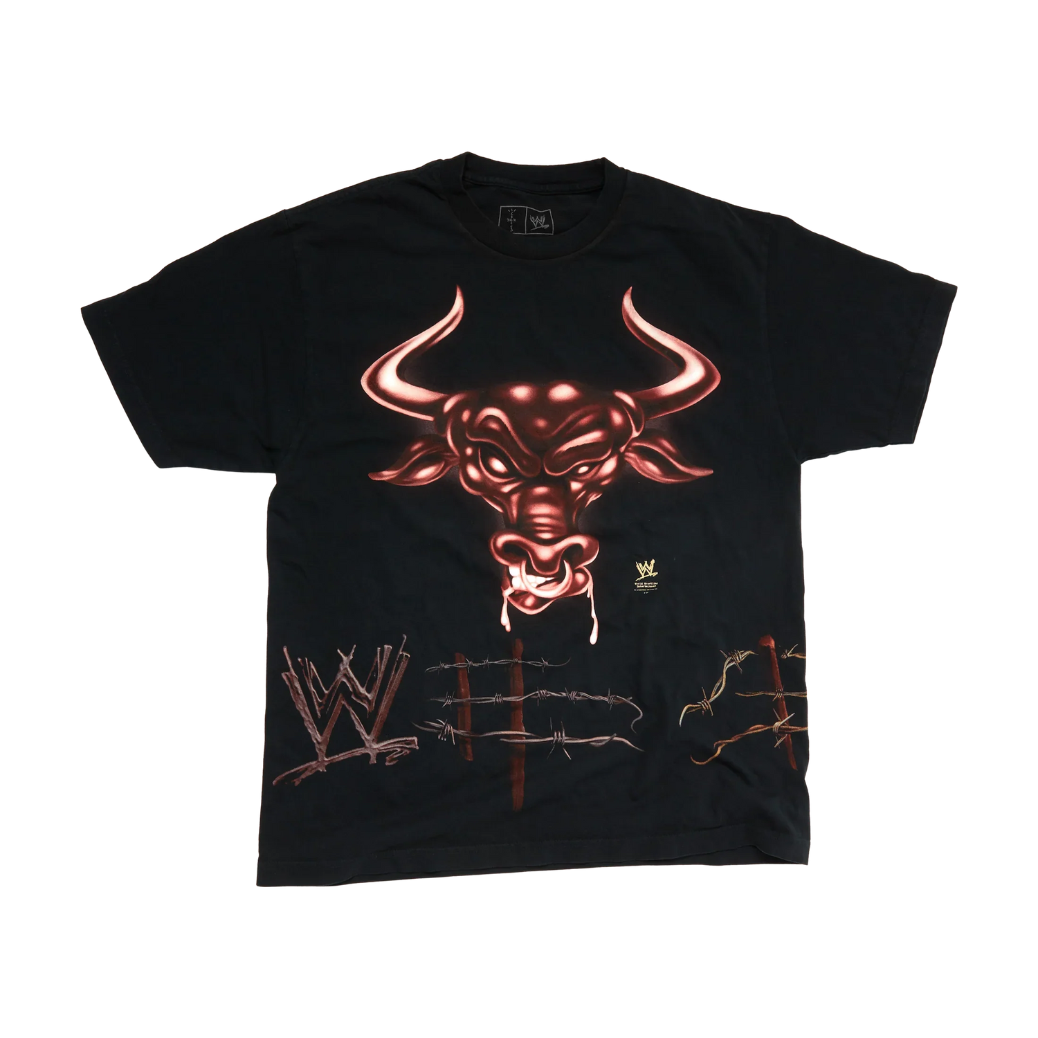 CJ X WWE